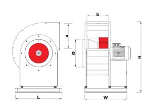 SF RADYAL FANLAR