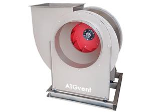SF RADYAL FANLAR